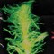 The Ribbon People Soft and Silky Lime Green Feather Boa Craft Ribbon Trim 1" x 110 Yards